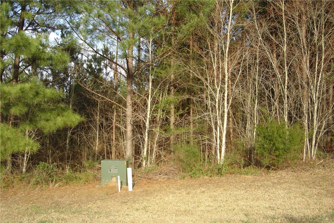 503 Shooting Star Way Seneca, SC 29672 - Photo 7 of 15 Gallery Image 7