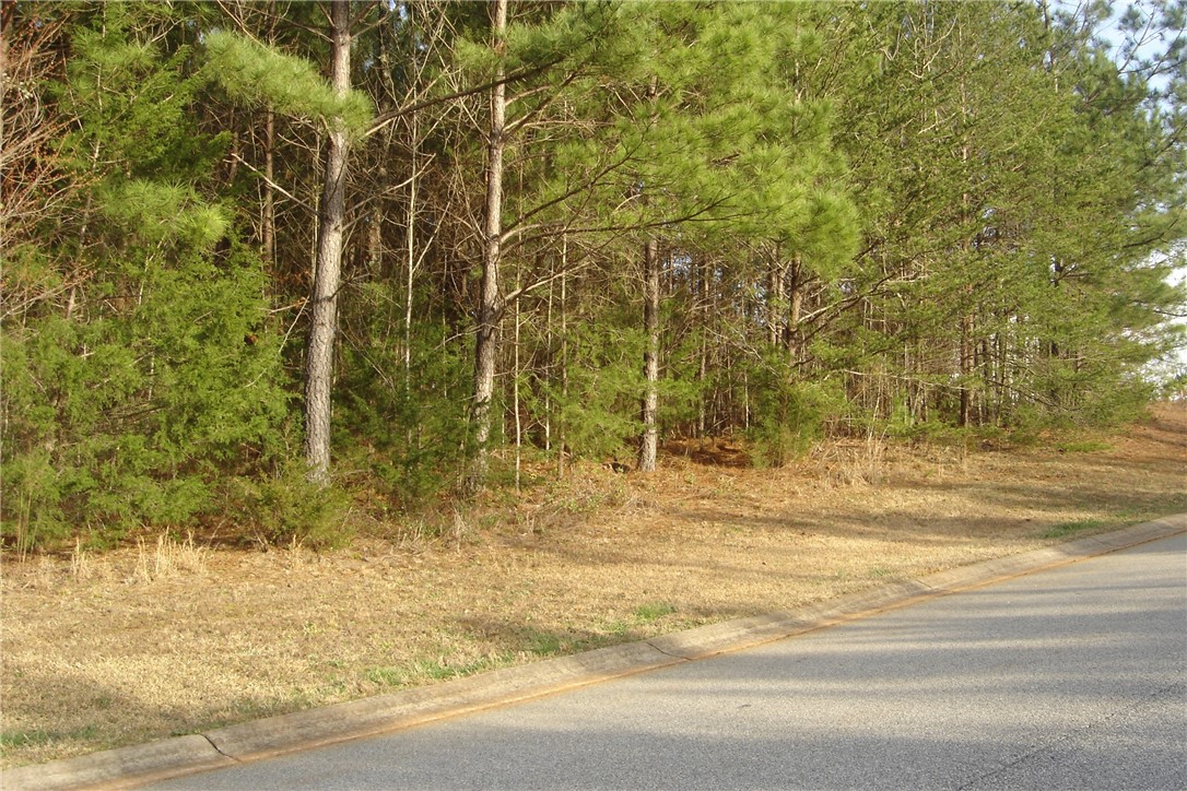 503 Shooting Star Way Seneca, SC 29672 - Photo 8 of 15 Located in a Cul-de-sac.