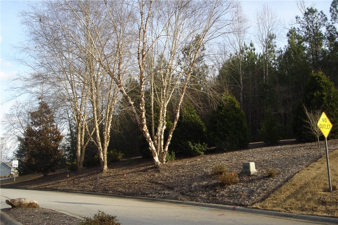 503 Shooting Star Way Seneca, SC 29672 - Photo 10 of 15 Well maintained entrance.