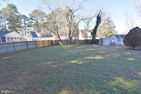 a view of a yard with a large tree