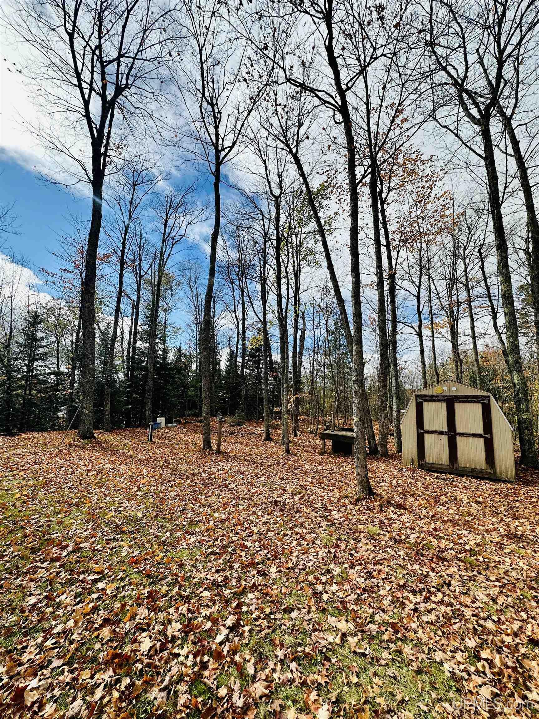 17099 Silver Road Michigamme, MI 49861 - Photo 11 of 14 Gallery Image 11
