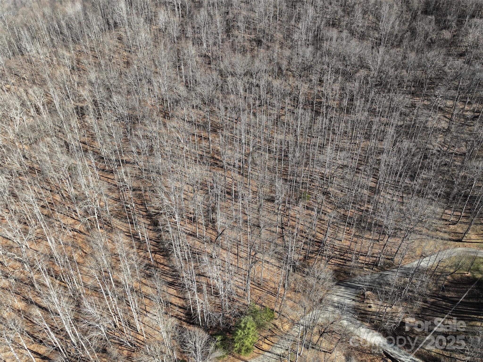 Lot 22 Top Drop Lane Sylva, NC 28779 - Photo 11 of 18 a close up of a white marble wall