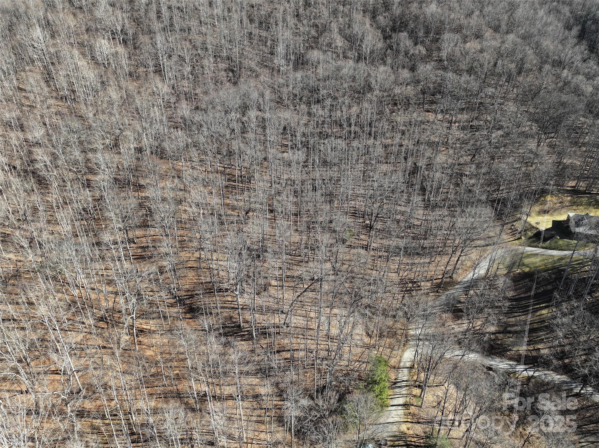 Lot 22 Top Drop Lane Sylva, NC 28779 - Photo 12 of 18 a brick wall with a shower