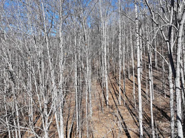a brick wall with a shower in it