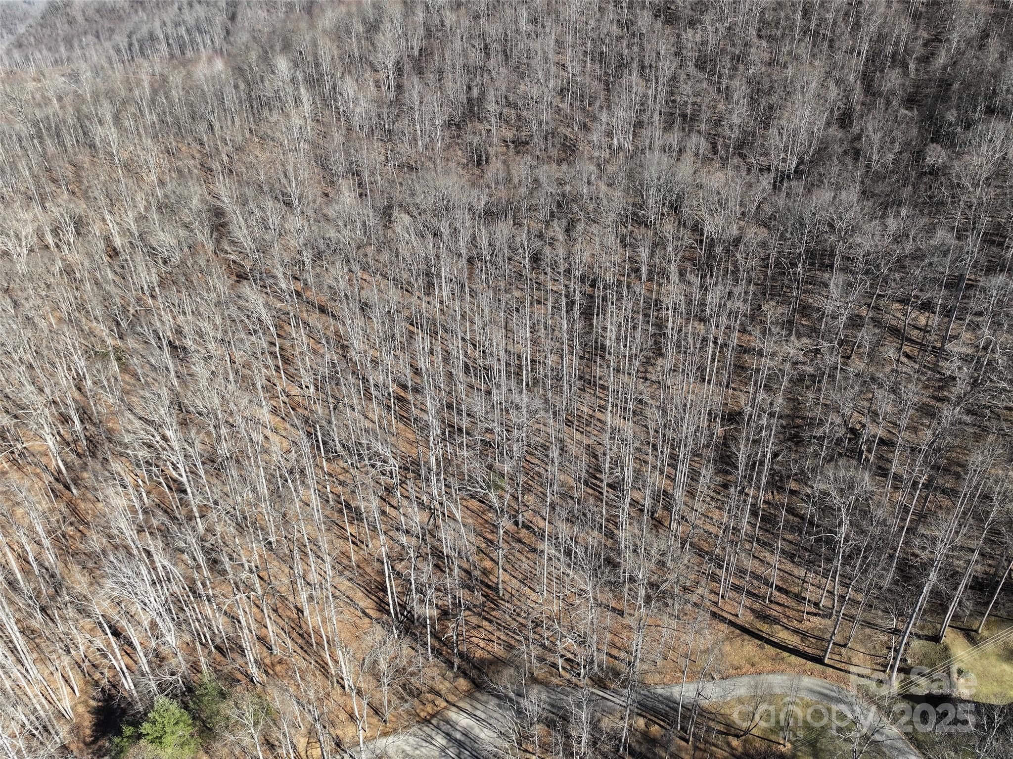 Lot 22 Top Drop Lane Sylva, NC 28779 - Photo 14 of 18 a close up of a white marble wall