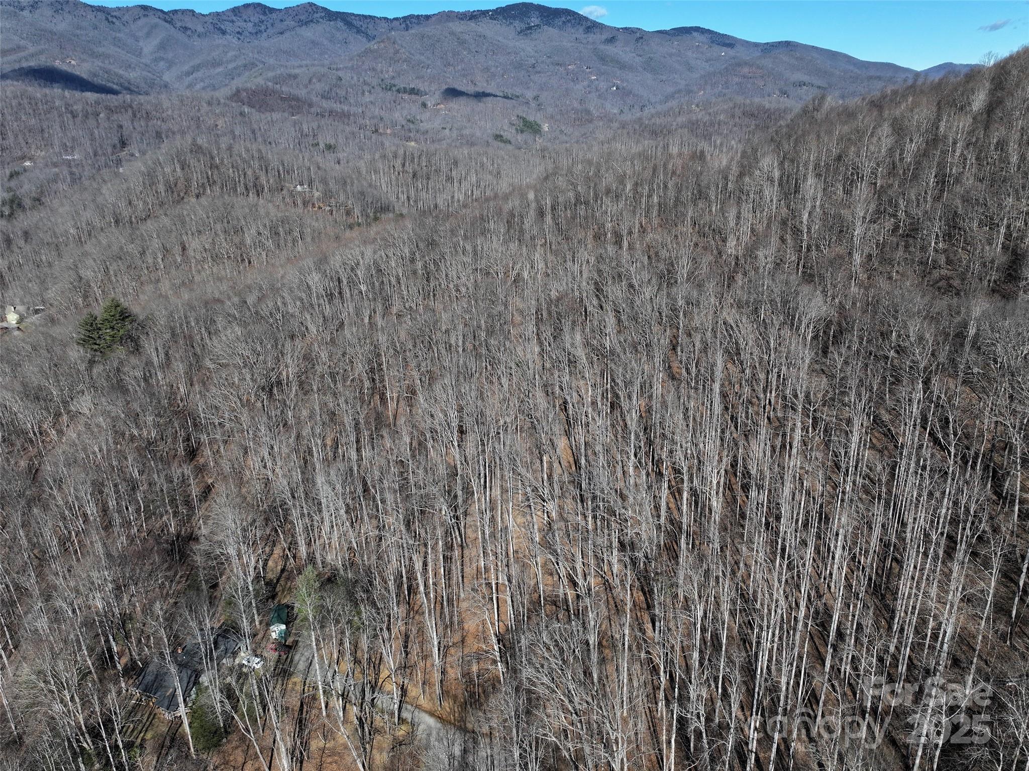 Lot 22 Top Drop Lane Sylva, NC 28779 - Photo 17 of 18 a view of a dry field