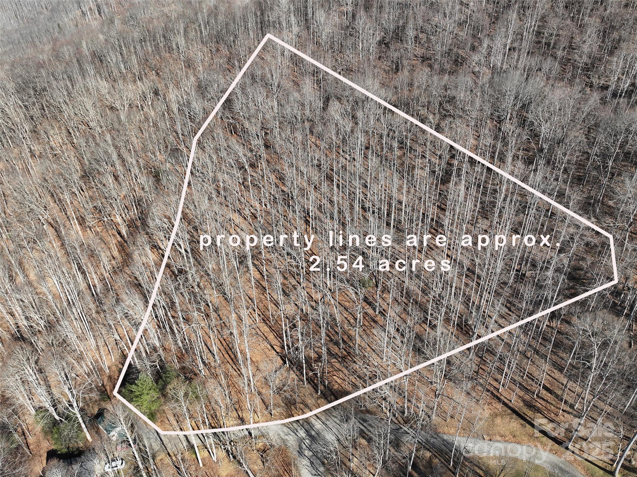 Lot 22 Top Drop Lane Sylva, NC 28779 - Photo 3 of 18