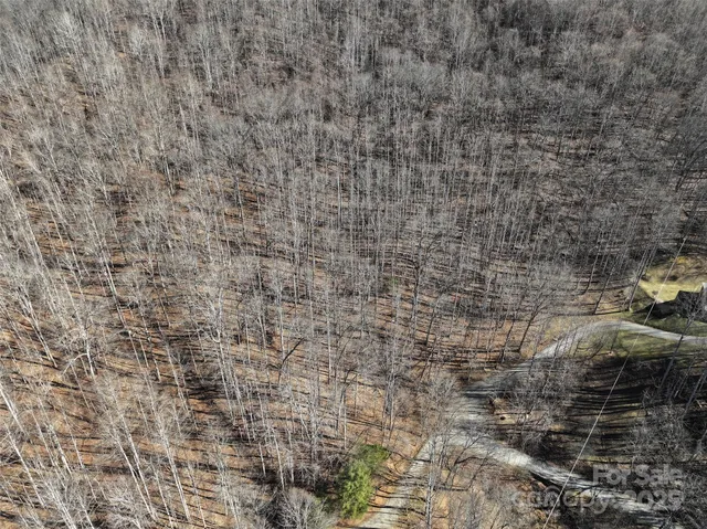 a view of a dry yard with mountains in the background
