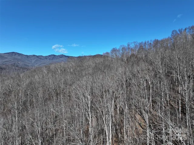 a view of a dry field with mountains in the background