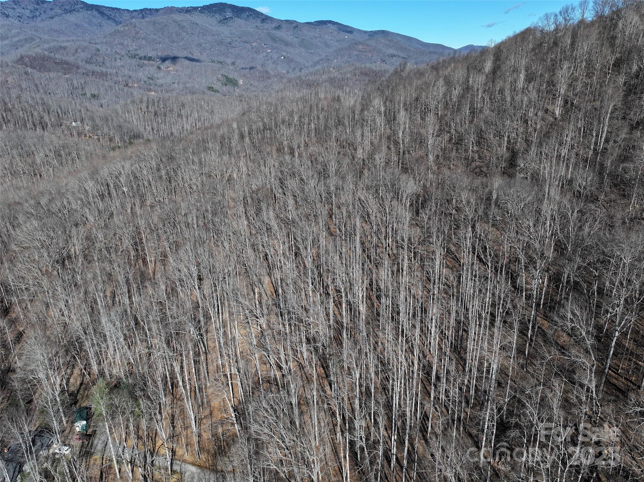 Lot 22 Top Drop Lane Sylva, NC 28779 - Photo 6 of 18 a view of a dry field with mountains in the background