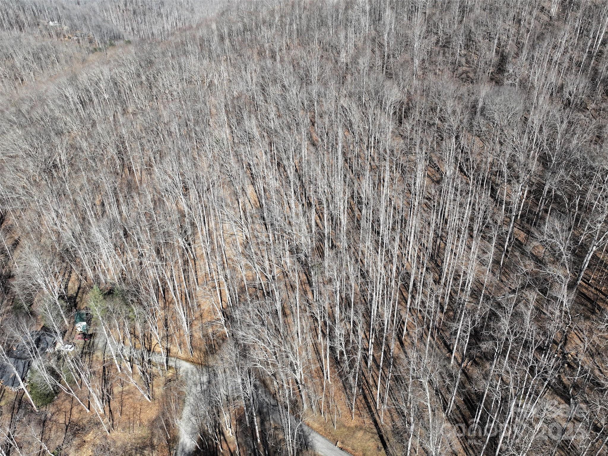 Lot 22 Top Drop Lane Sylva, NC 28779 - Photo 8 of 18 a close up view of wooden wall
