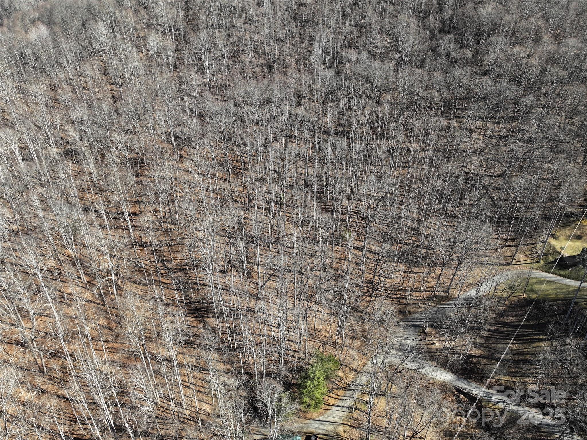 Lot 22 Top Drop Lane Sylva, NC 28779 - Photo 10 of 18 a brick wall with a shower