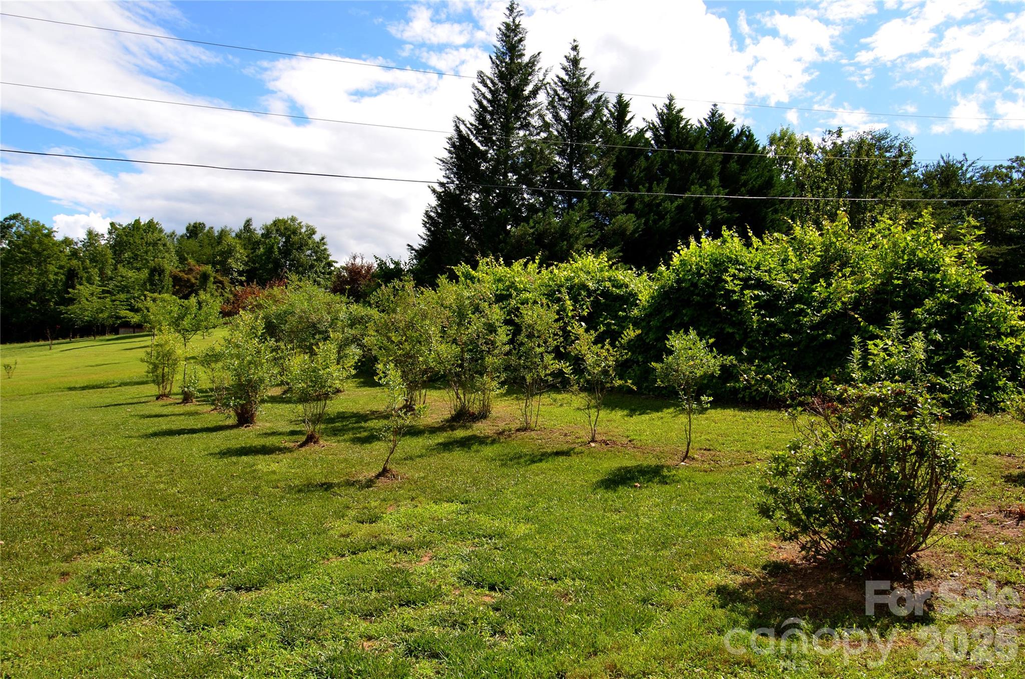 848 Deer Park Road Nebo, NC 28761 - Photo 20 of 33