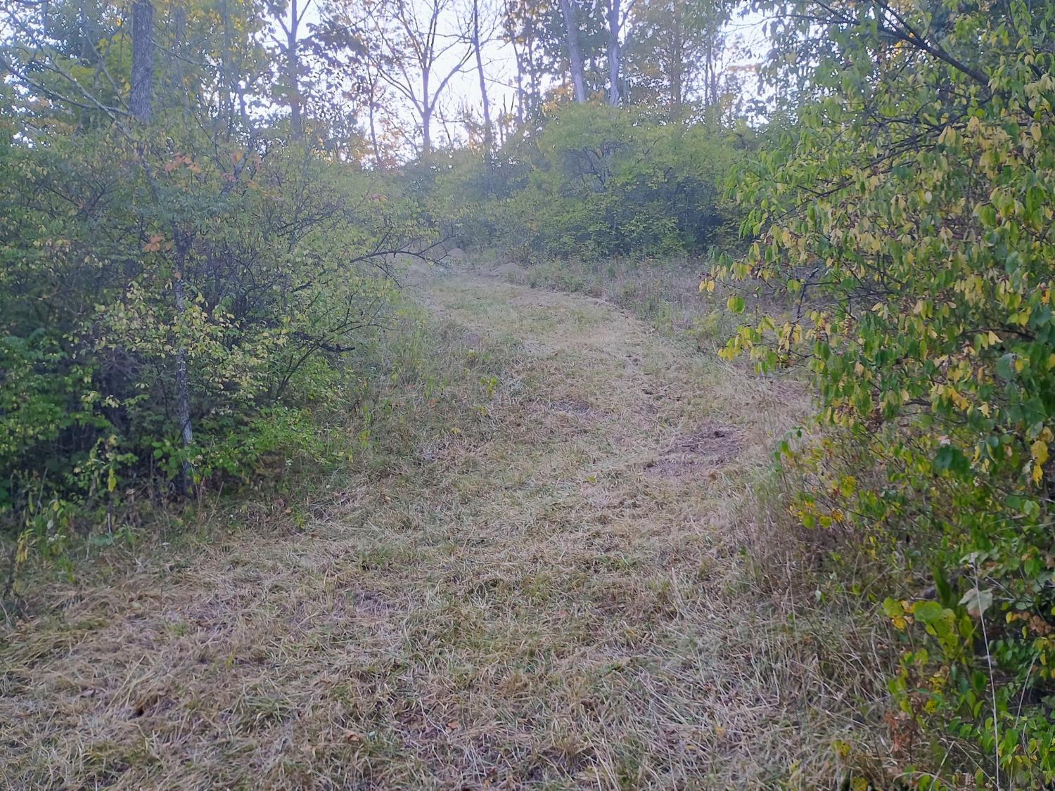 0 Leffler Road Aurora, IN 47001 - Photo 11 of 48