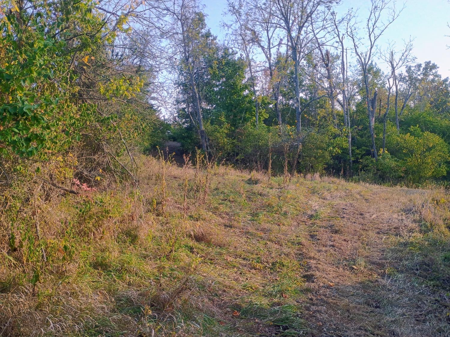 0 Leffler Road Aurora, IN 47001 - Photo 26 of 48