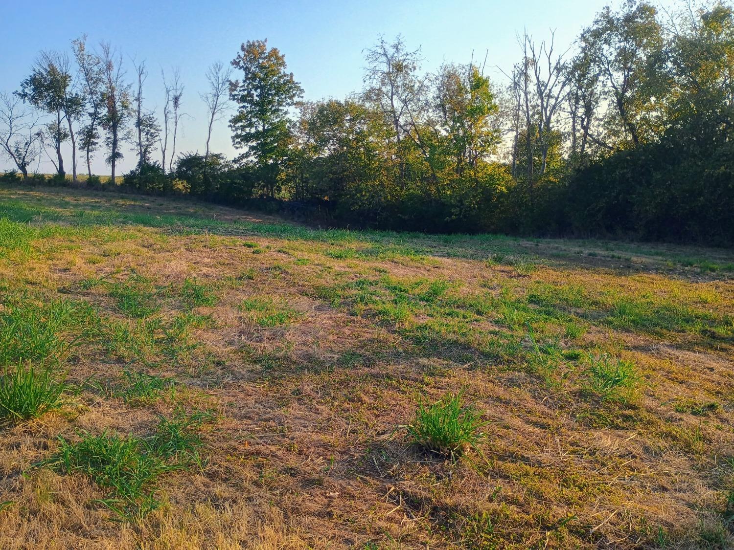 0 Leffler Road Aurora, IN 47001 - Photo 46 of 48