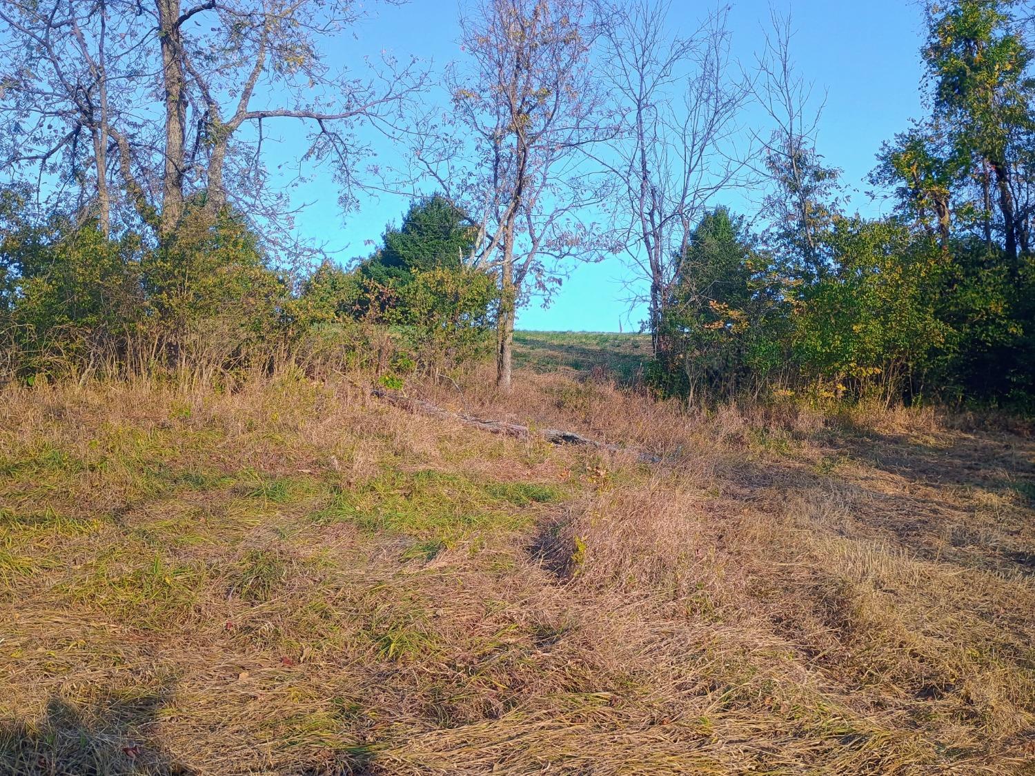 0 Leffler Road Aurora, IN 47001 - Photo 7 of 48