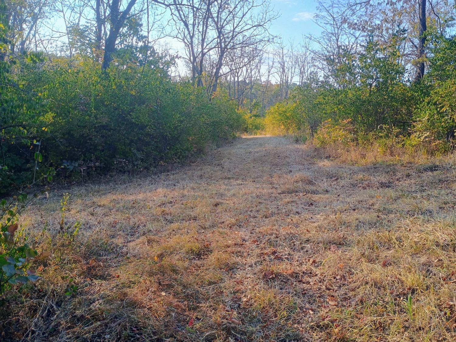 0 Leffler Road Aurora, IN 47001 - Photo 8 of 48