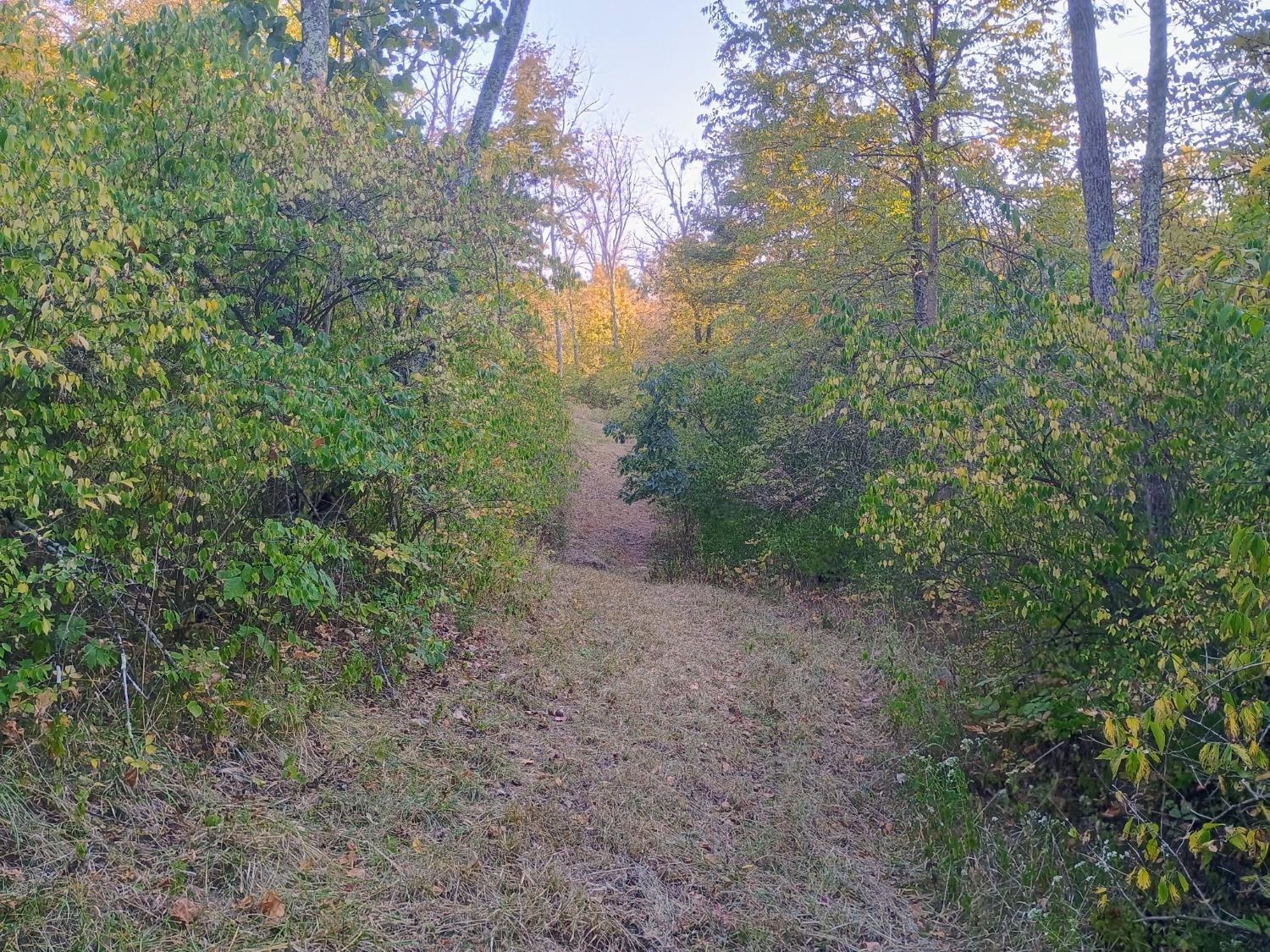0 Leffler Road Aurora, IN 47001 - Photo 10 of 48