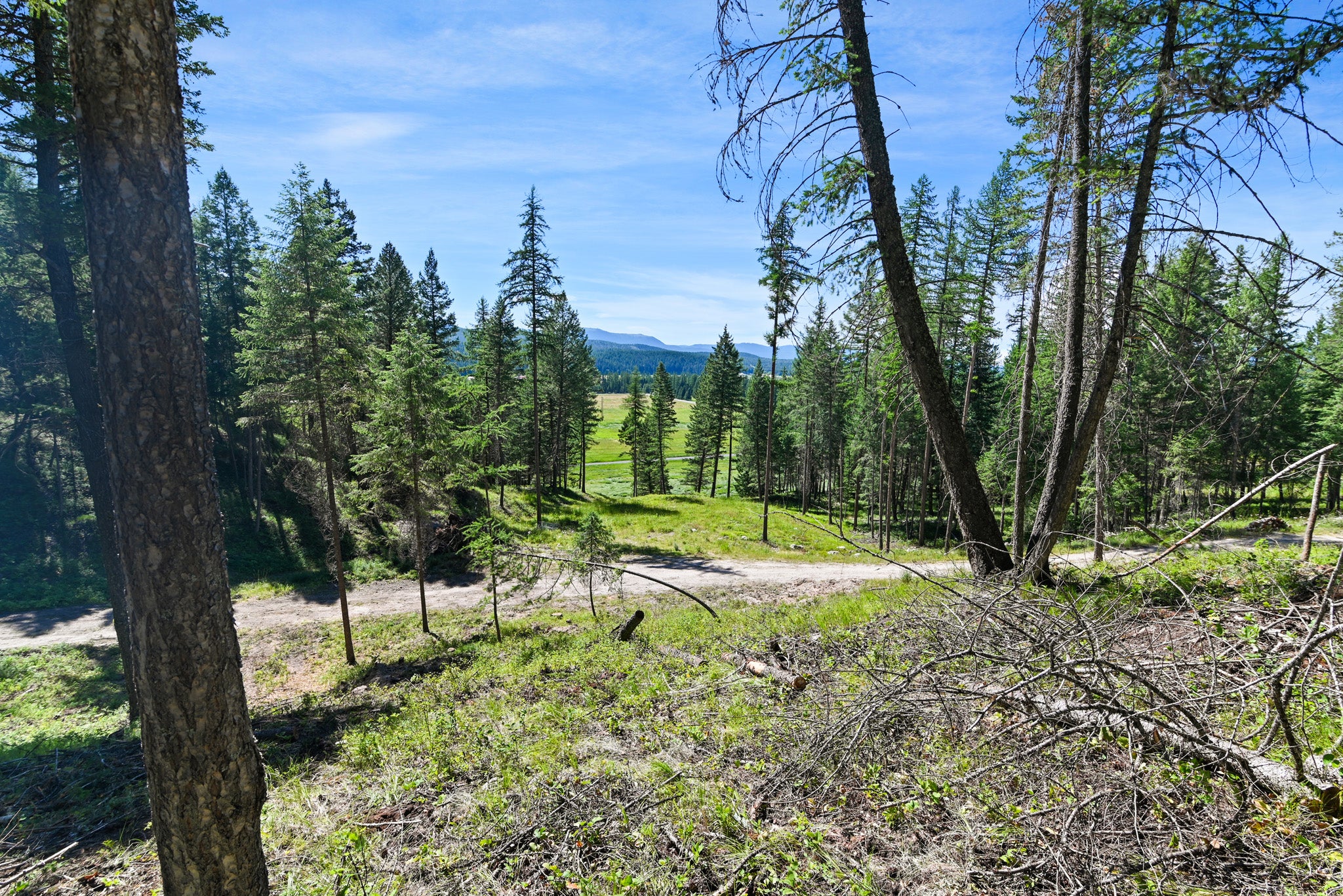1082 Whitefish Ridge Road Whitefish, MT 59937 - Photo 11 of 26 Gallery Image 11