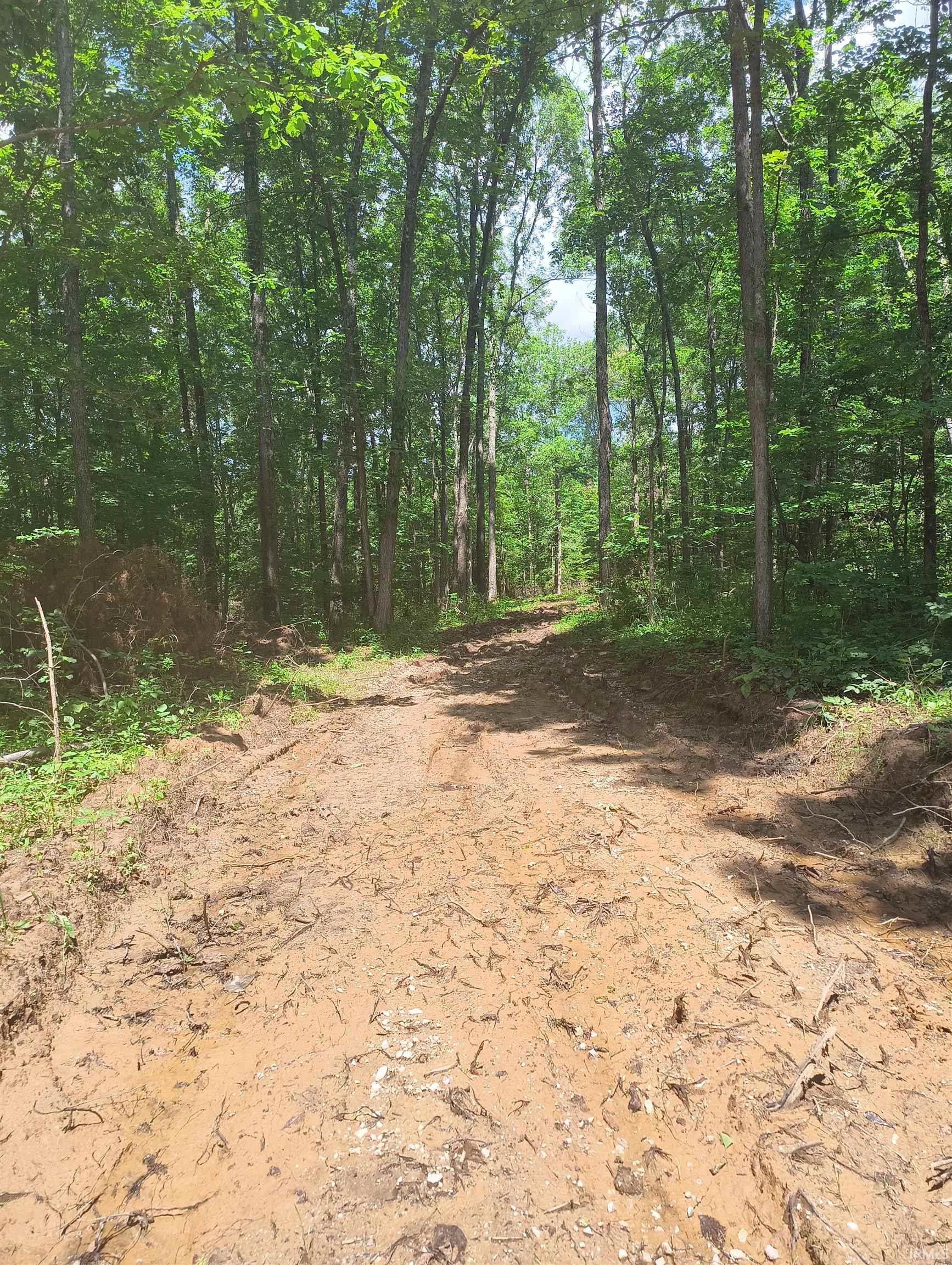 2500 South Coalmine Road Bloomfield, IN 47424 - Photo 2 of 12