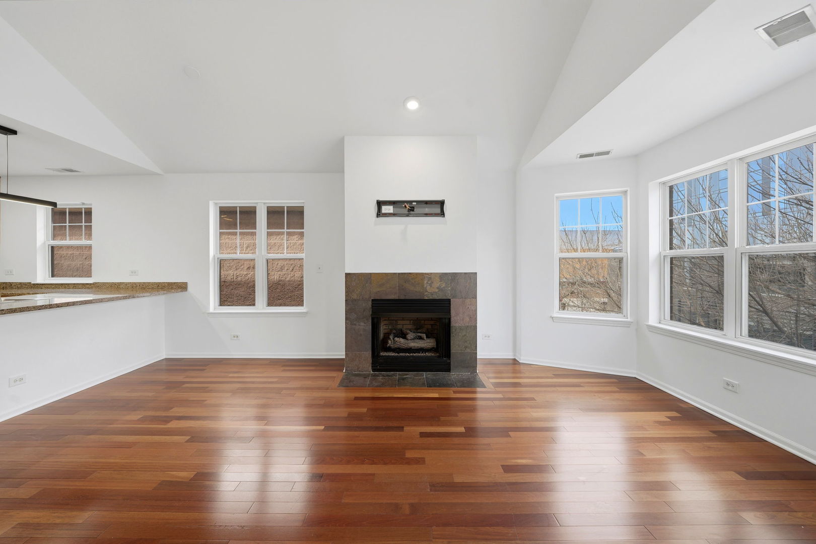 1156 North Howe Street, Unit C Chicago, IL 60610 - Photo 2 of 18