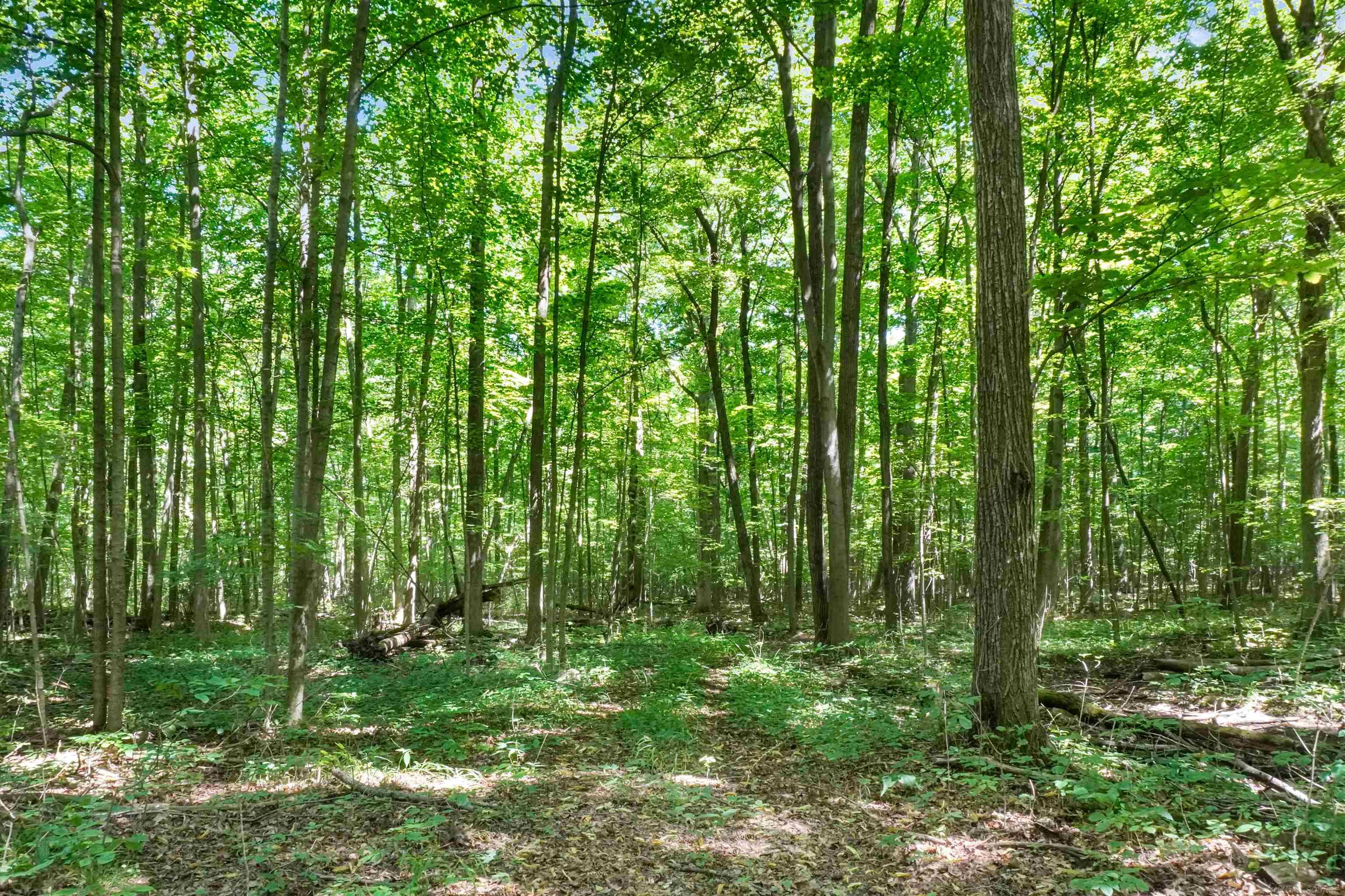 3237 Muir Road Dryden, MI 48428 - Photo 53 of 57