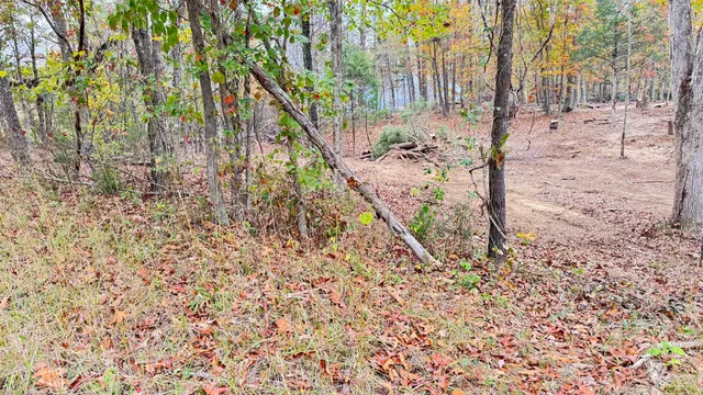 a view of a yard with large trees