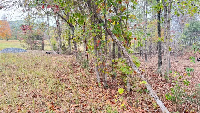 a backyard of a house with large trees
