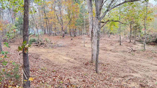 a view of yard covered with snow