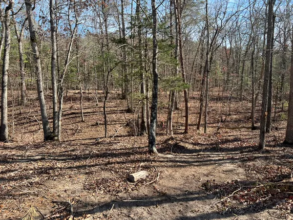 a view of a area with wooden fence
