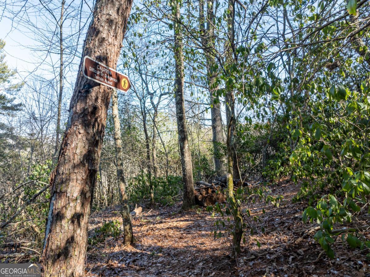 517 Ridge Road Blue Ridge, GA 30513 - Photo 38 of 56 a backyard of a house with lots of green space