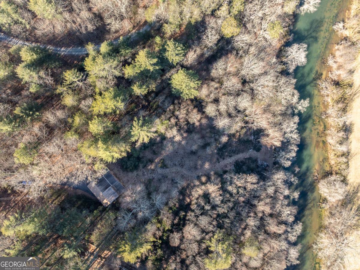 517 Ridge Road Blue Ridge, GA 30513 - Photo 4 of 56 a view of a tree