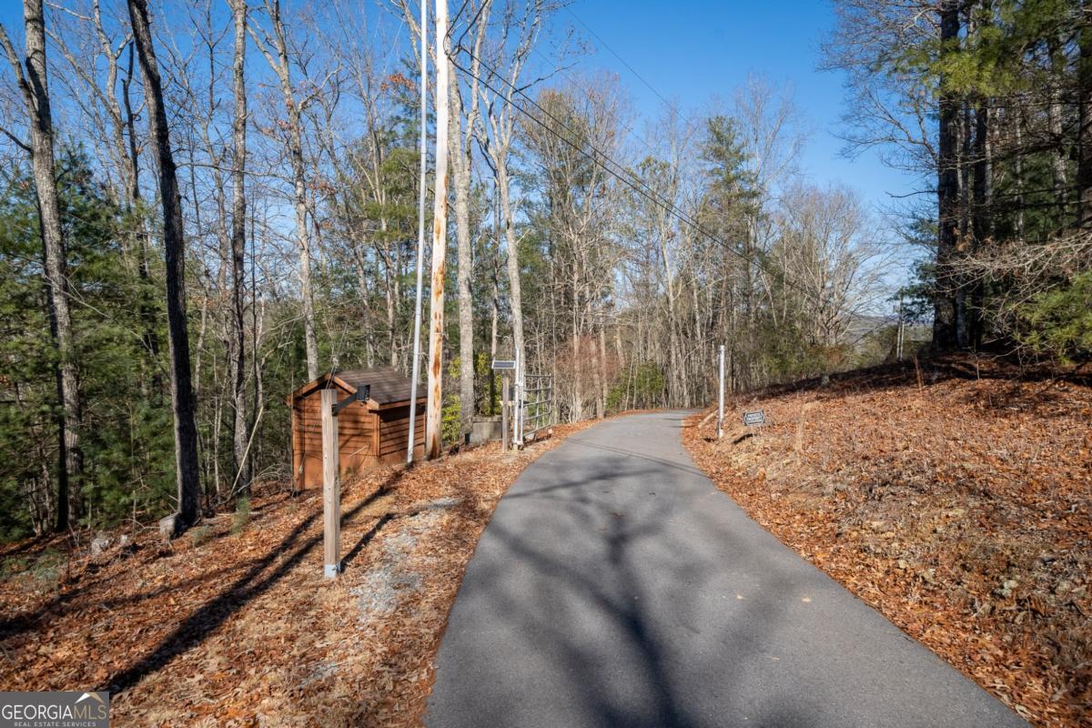 517 Ridge Road Blue Ridge, GA 30513 - Photo 42 of 56 a view of a backyard with large trees