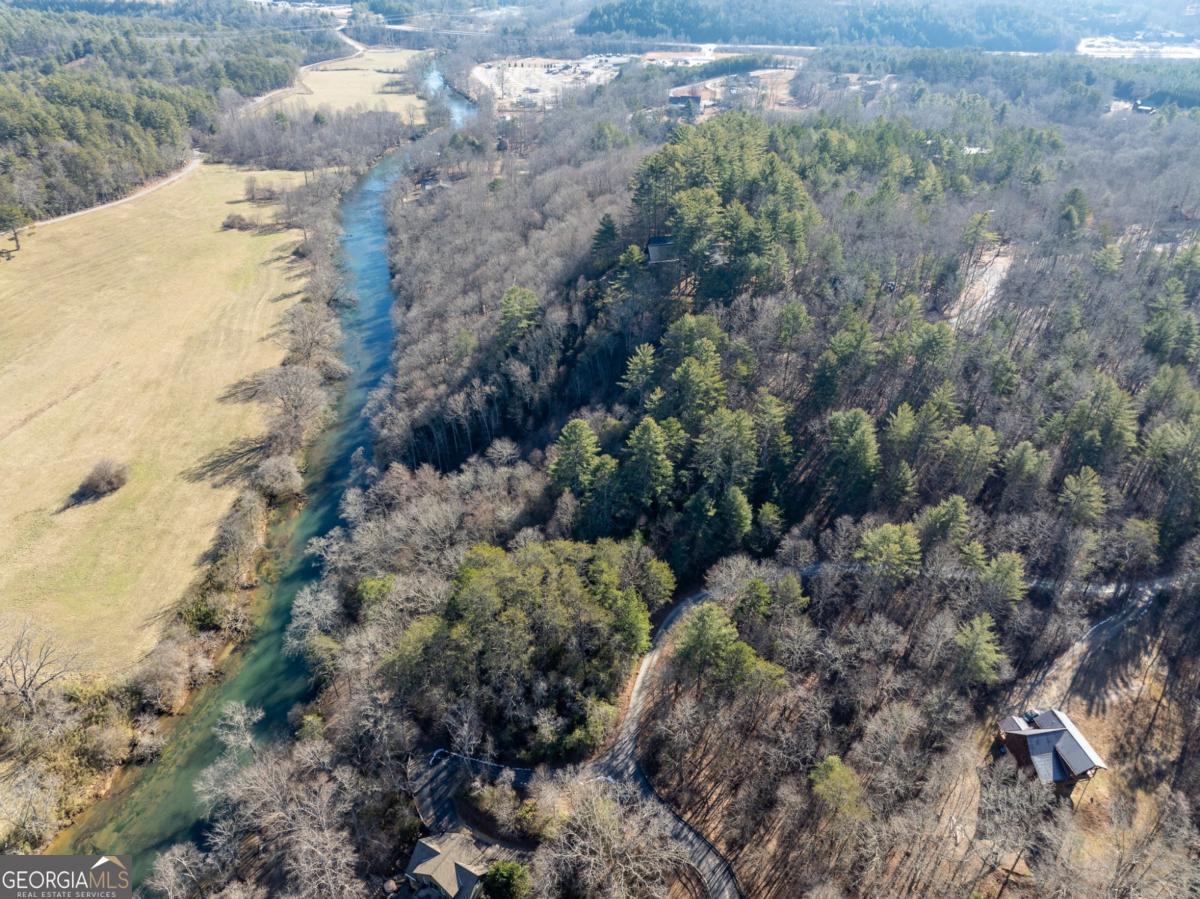 517 Ridge Road Blue Ridge, GA 30513 - Photo 43 of 56 a view of a yard with plants and tree