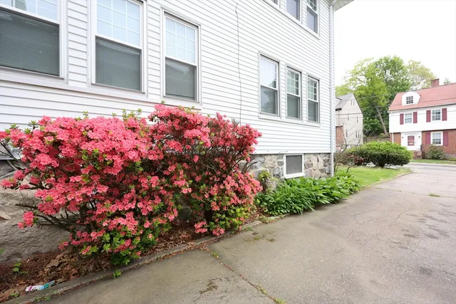 a front view of a house with lots of flowers