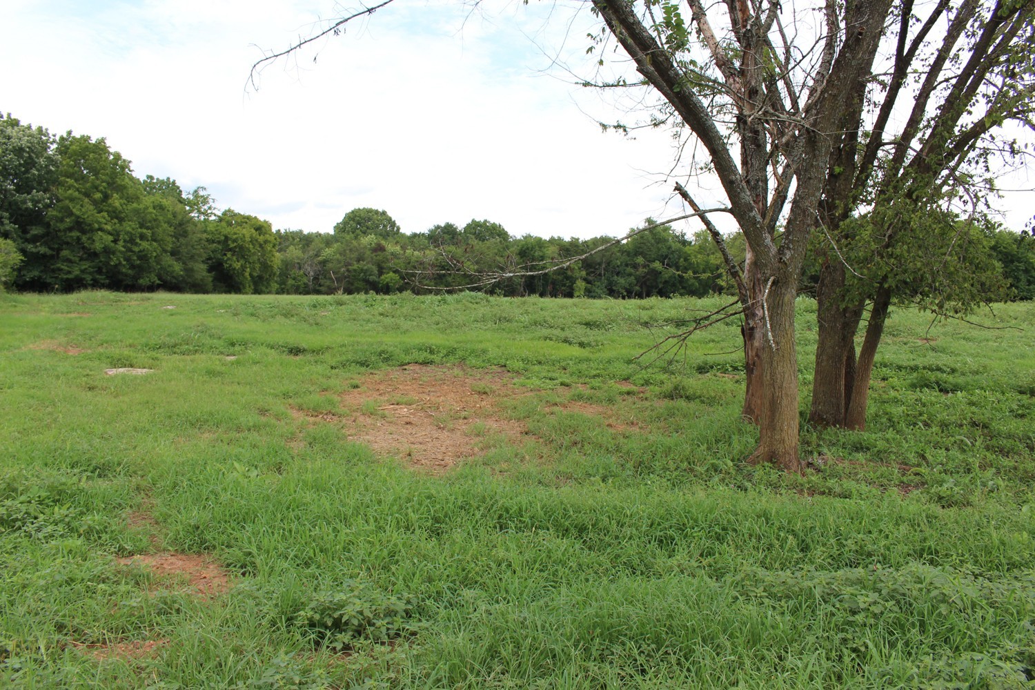 9715 Midland Road Bell Buckle, TN 37020 - Photo 5 of 7 a view of an outdoor space with a lake view