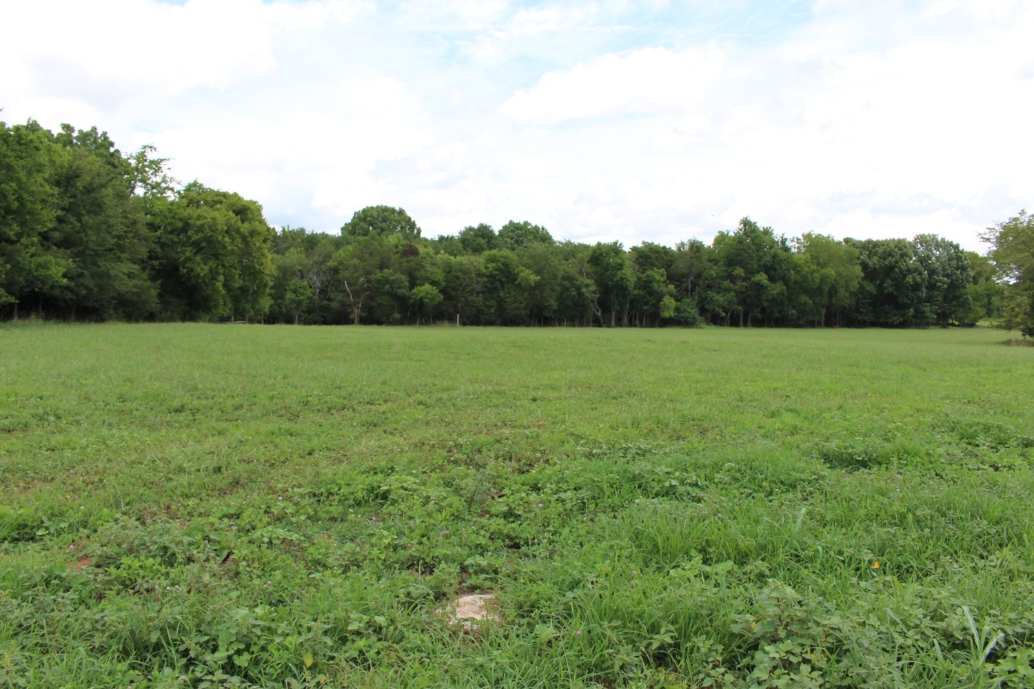 9715 Midland Road Bell Buckle, TN 37020 - Photo 6 of 7 a view of field with trees in the background