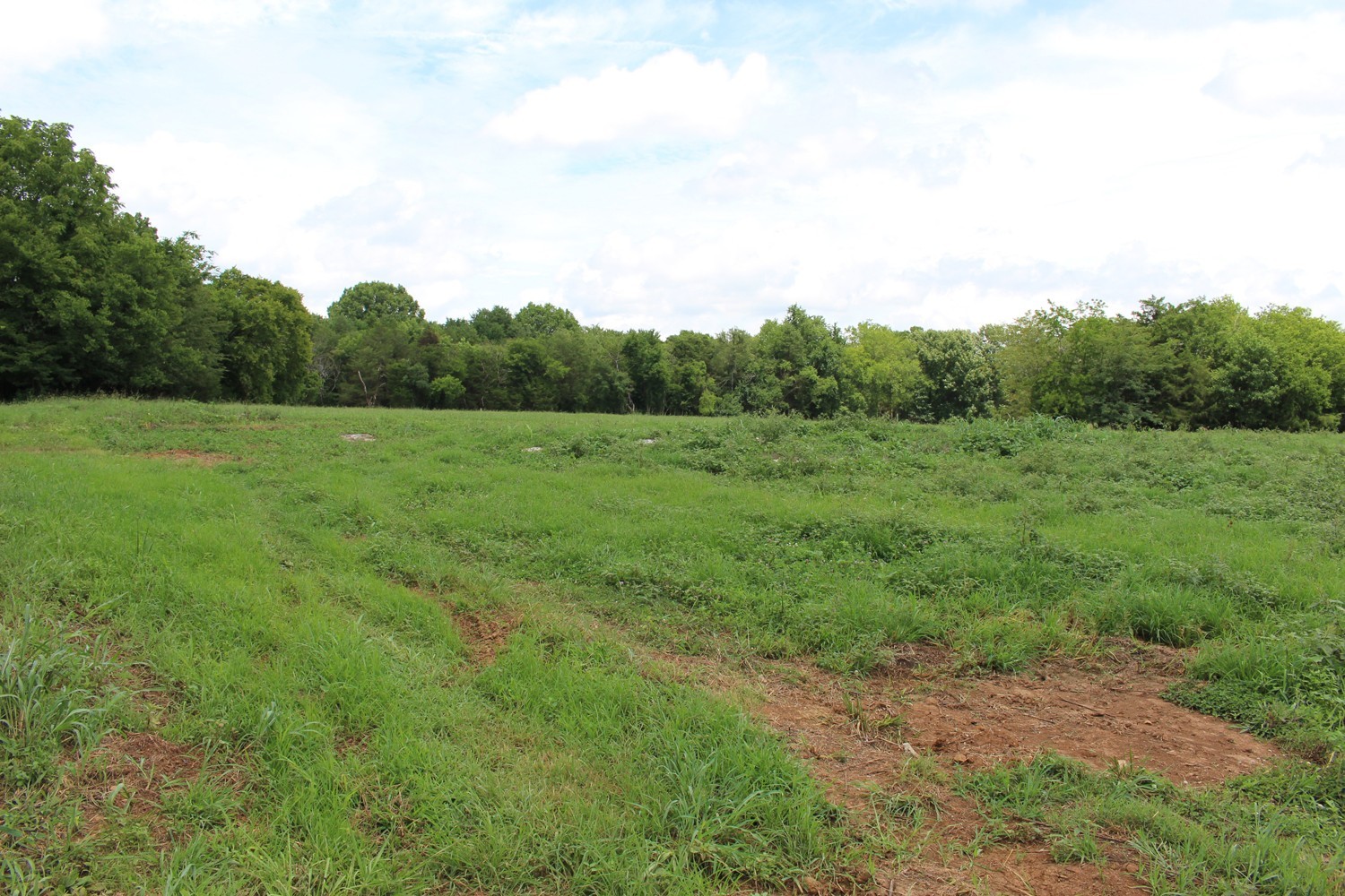 9715 Midland Road Bell Buckle, TN 37020 - Photo 7 of 7 a view of an outdoor space with a lake view
