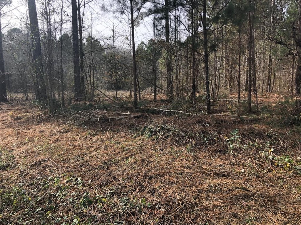 0 John Grey Road Iva, SC 29655 - Photo 3 of 6 Gallery Image 3