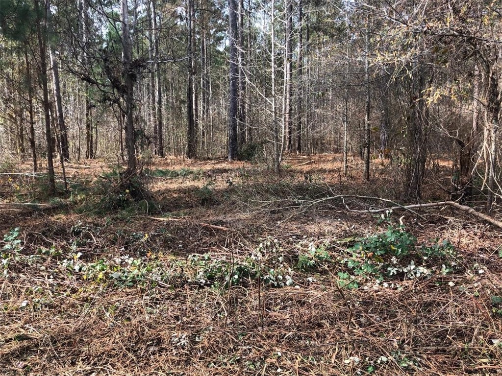 0 John Grey Road Iva, SC 29655 - Photo 6 of 6 Gallery Image 6