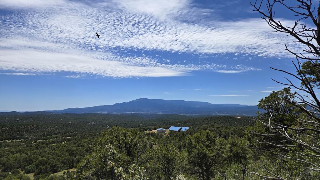 15 Picketwire Road Boncarbo, CO 81024 - Photo 1 of 21 a view of a city with sunset view