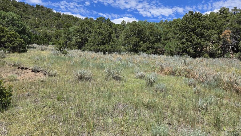 15 Picketwire Road Boncarbo, CO 81024 - Photo 11 of 21 a view of a dry yard