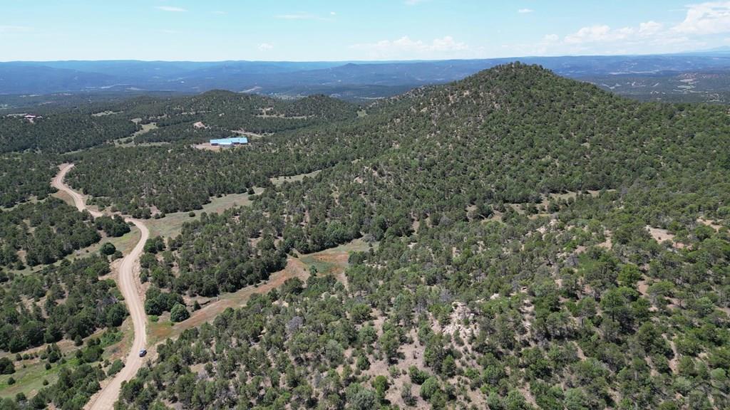 15 Picketwire Road Boncarbo, CO 81024 - Photo 15 of 21 an aerial view of mountain with yard