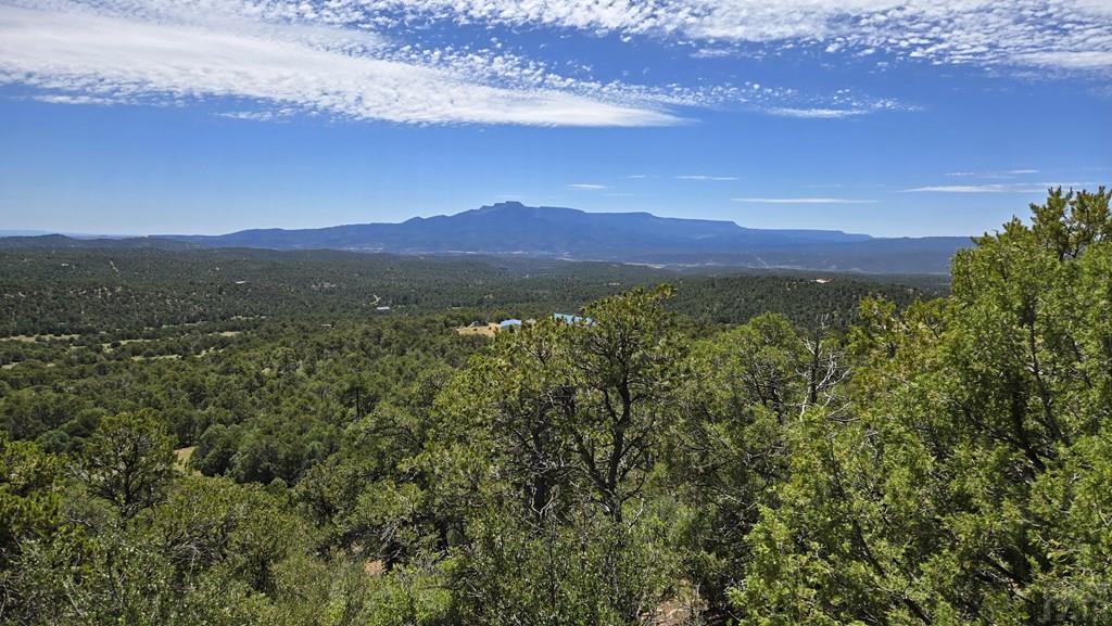 15 Picketwire Road Boncarbo, CO 81024 - Photo 18 of 21 a view of mountain with sunset in background