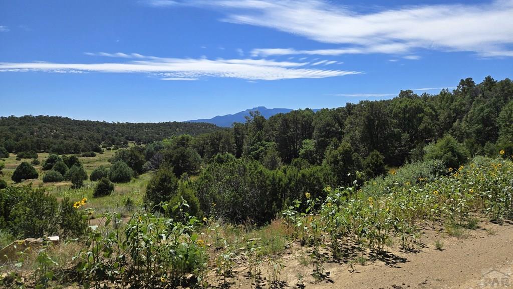 15 Picketwire Road Boncarbo, CO 81024 - Photo 20 of 21 a view of a city