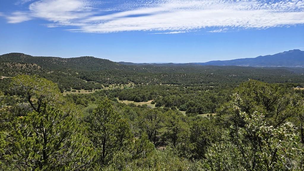 15 Picketwire Road Boncarbo, CO 81024 - Photo 3 of 21 a view of a town with mountains in the background
