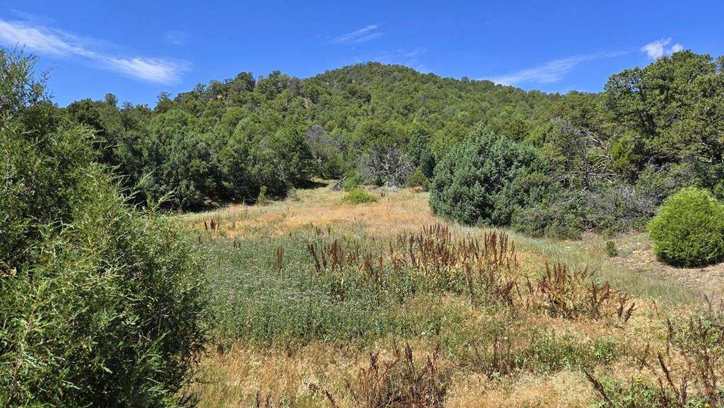 15 Picketwire Road Boncarbo, CO 81024 - Photo 5 of 21 a view of a field of mountains