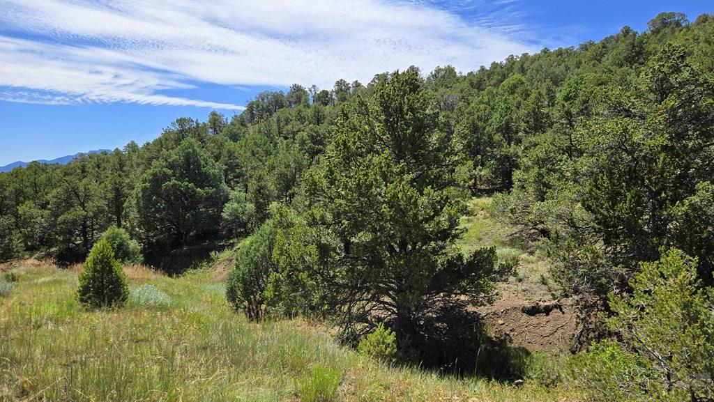 15 Picketwire Road Boncarbo, CO 81024 - Photo 6 of 21