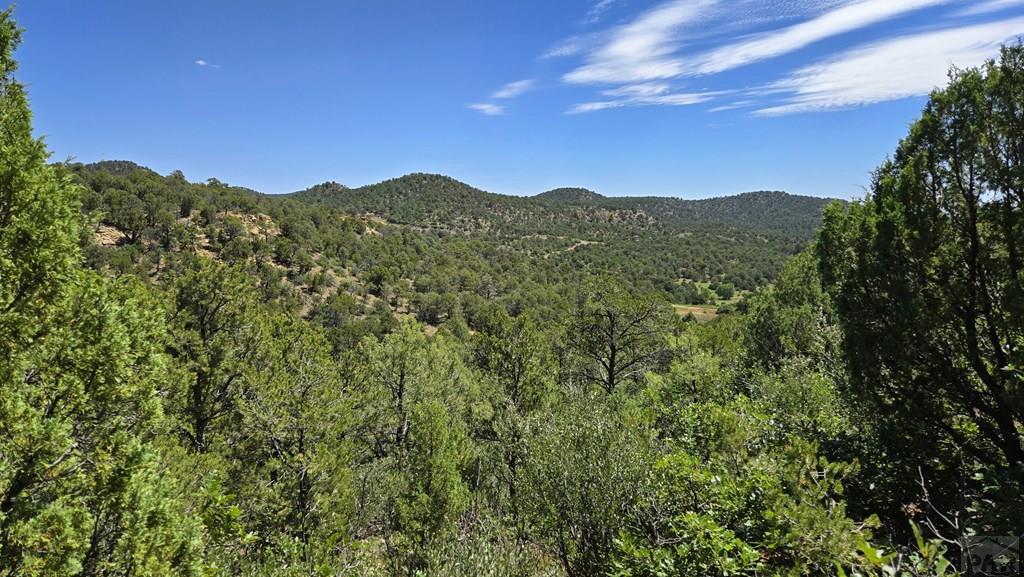 15 Picketwire Road Boncarbo, CO 81024 - Photo 7 of 21 a view of a city with mountains in the background